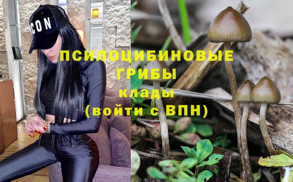 дмт Краснотурьинск