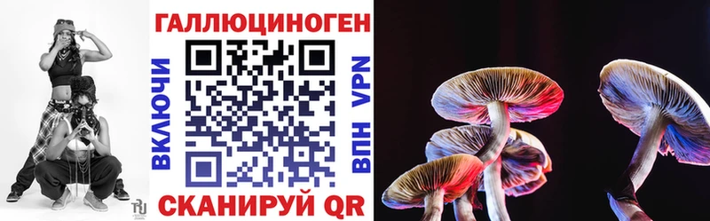 Купить где  Воткинск  Галлюциногенные грибы GOLDEN TEACHER 