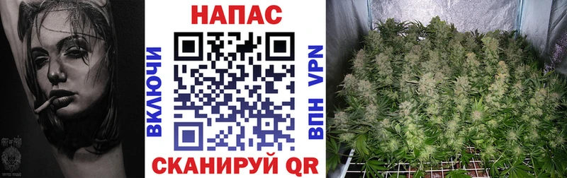Бошки Шишки конопля  Купить закладки  Воткинск 